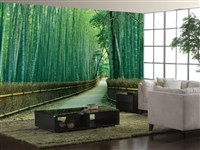 #1066 Bamboo Forest Japan (12' X 8') other sizes avail.