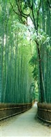 #1218 Bamboo Forest Tall (6' X 8')