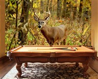 #1139 Image Hunter (12' X 8')