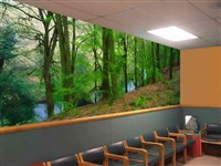 #1224 Woodland in Ireland (15' X 4.5')