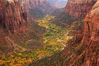 #1256 Zion Canyon Utah (12' X 8')