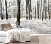 #1264 White Forest (12' X 8') two other sizes avail)