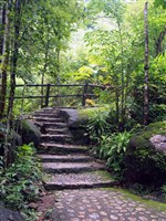 #1312 Natural Stone Stairs (6' X 8')