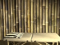 #1078 Bamboo Wall (12' X 8')